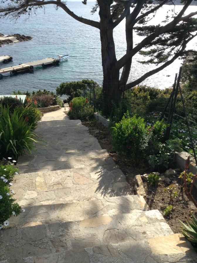 Villa Mirabel Île du Levant Exterior foto